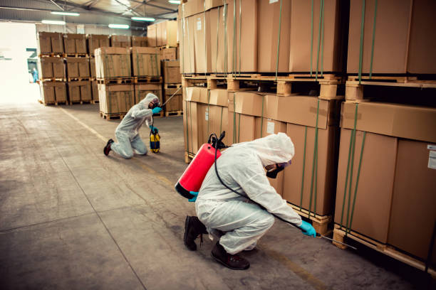 Best Affordable Pest Control Services  in Lumbine, CO