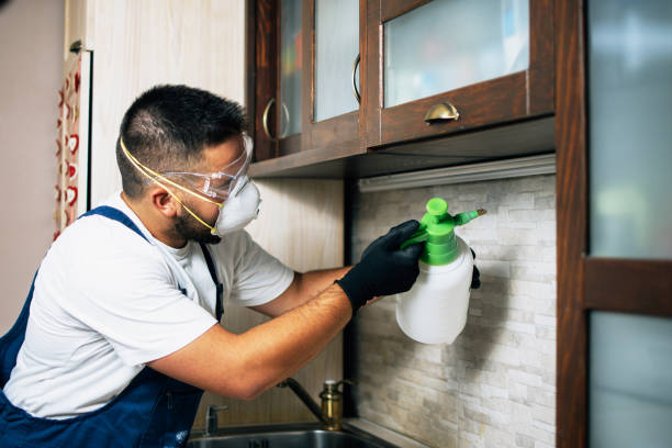 Best Exterminator Services  in Lumbine, CO